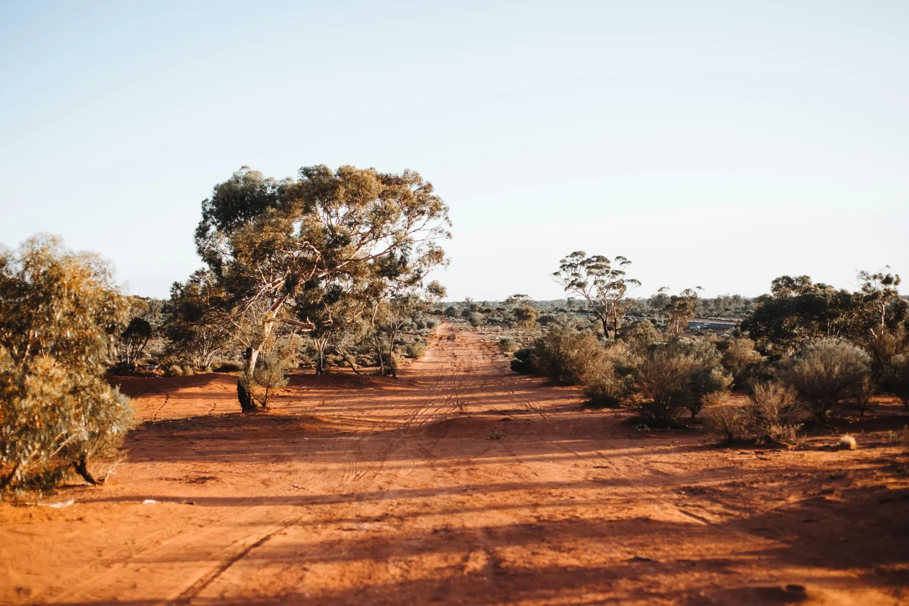 African bush road at sunset